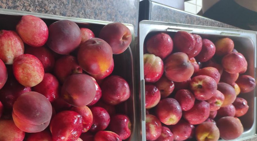 Греція - Готель - ORFEAS 88