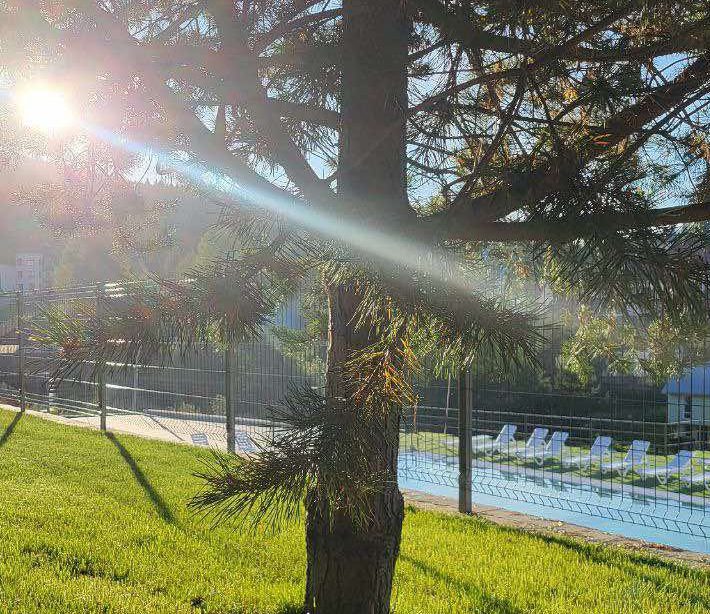 Україна - Карпати - Східниця 14