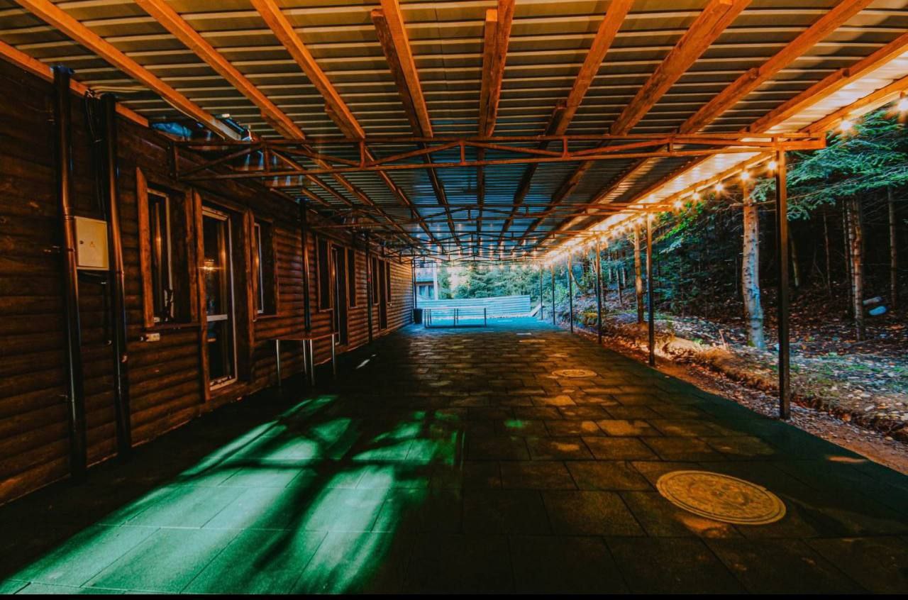 Україна - Карпати - Східниця 5