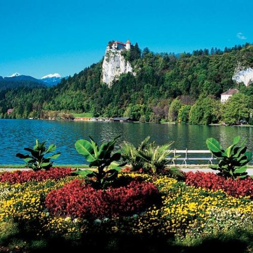bled2